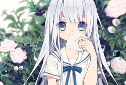 二次元动漫视频,一场视觉与情感的盛宴